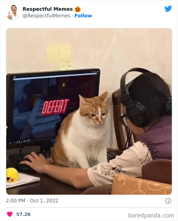 Kind-Respectful-Memes