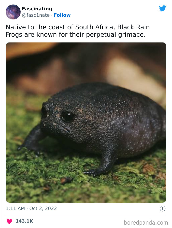 Interesting-Science-History-Art-Fasc1nate