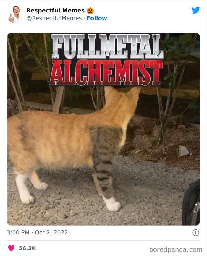 Kind-Respectful-Memes