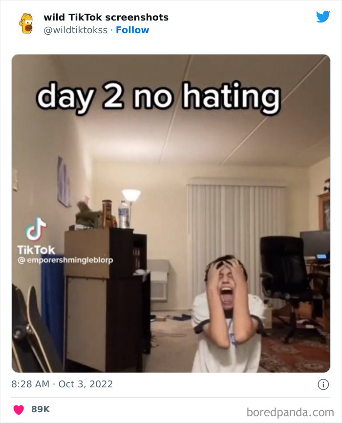 Wild-Tiktok-Screenshots