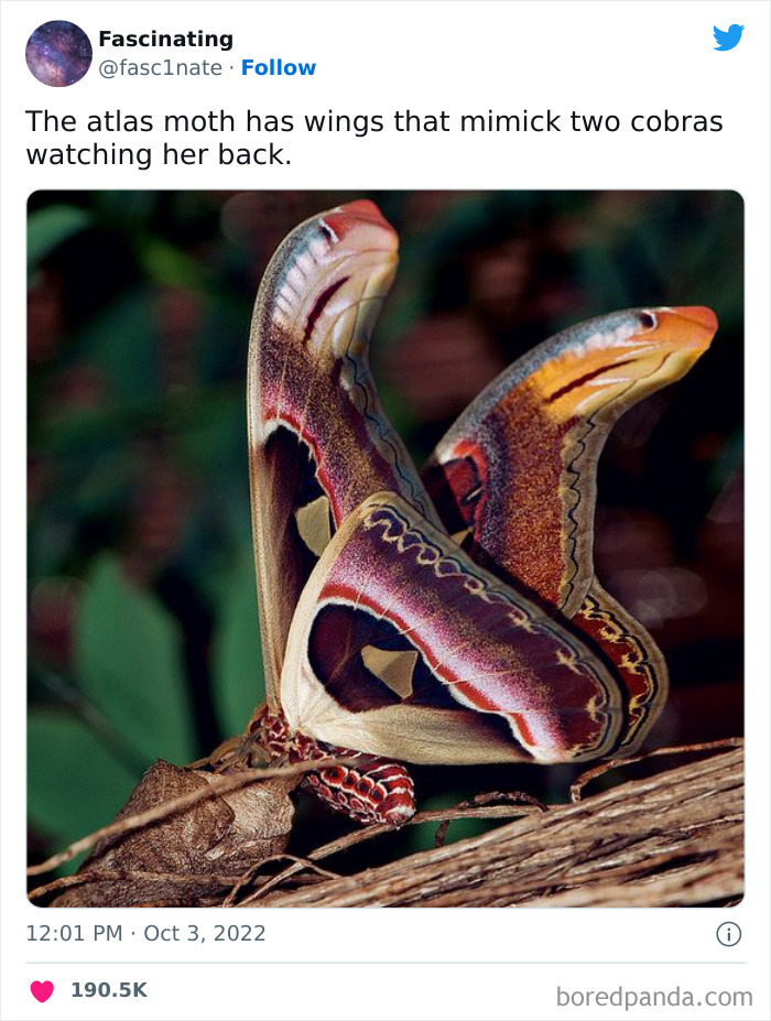 Interesting-Science-History-Art-Fasc1nate