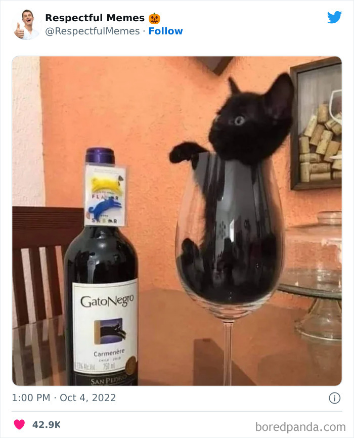 Kind-Respectful-Memes