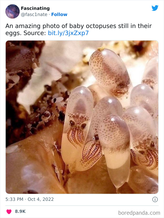 Interesting-Science-History-Art-Fasc1nate