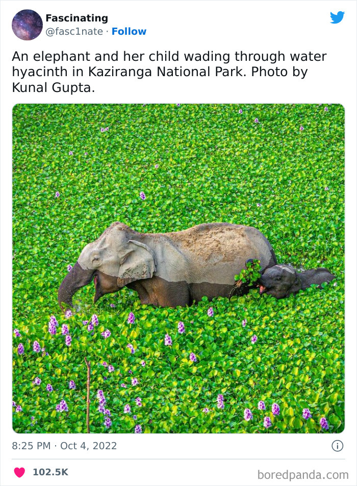 Interesting-Science-History-Art-Fasc1nate