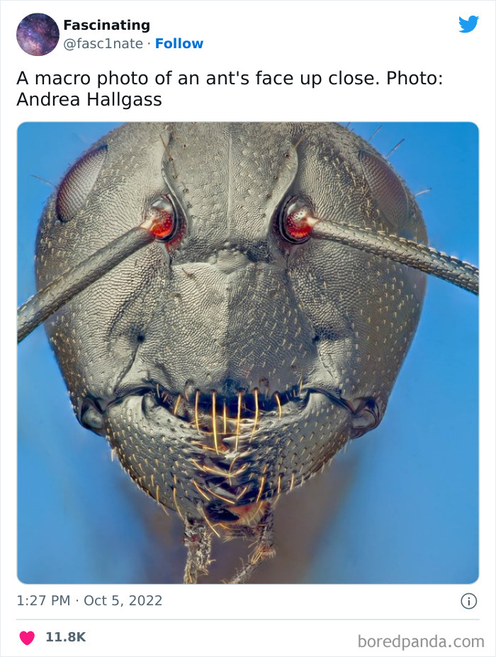 Interesting-Science-History-Art-Fasc1nate