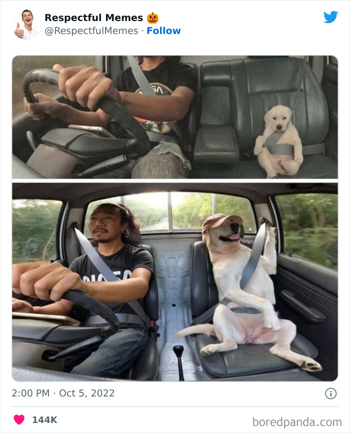 Kind-Respectful-Memes