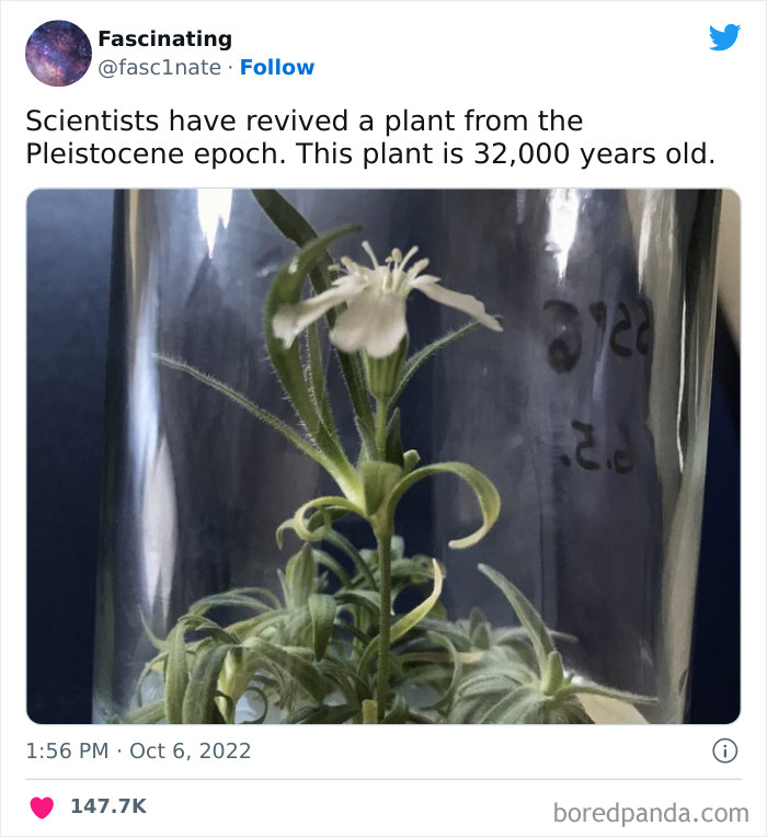 Interesting-Science-History-Art-Fasc1nate