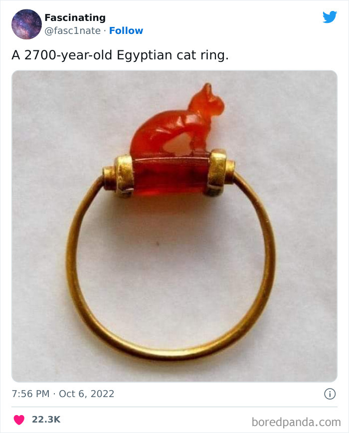 Interesting-Science-History-Art-Fasc1nate