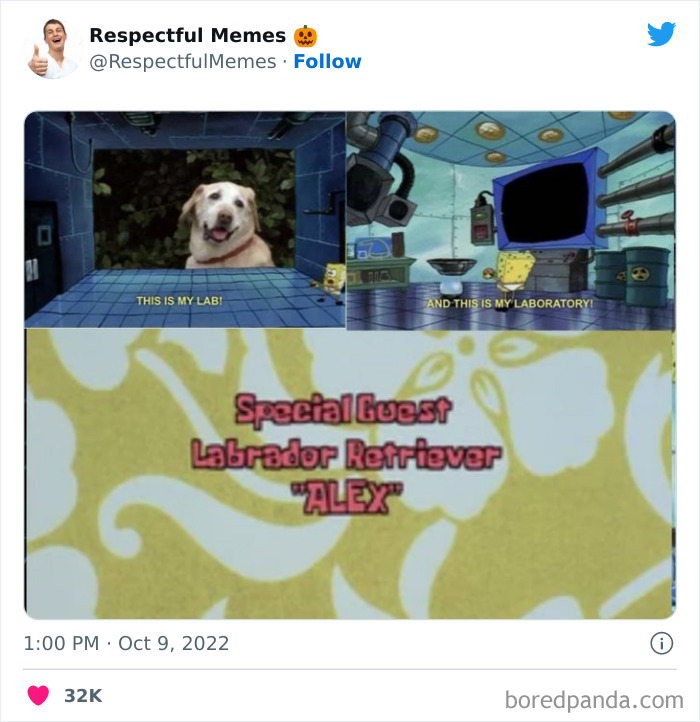 Kind-Respectful-Memes