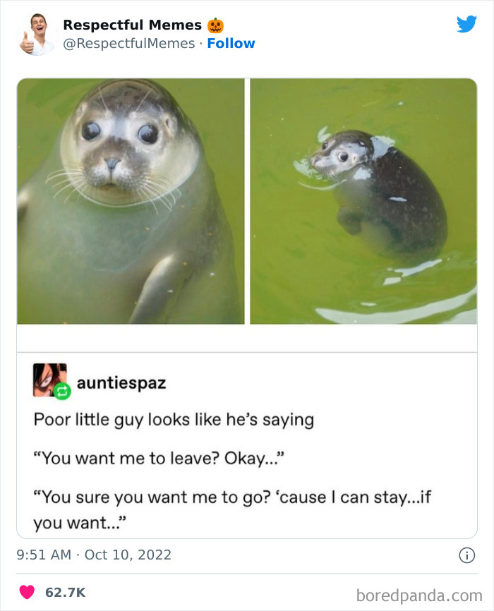 Kind-Respectful-Memes