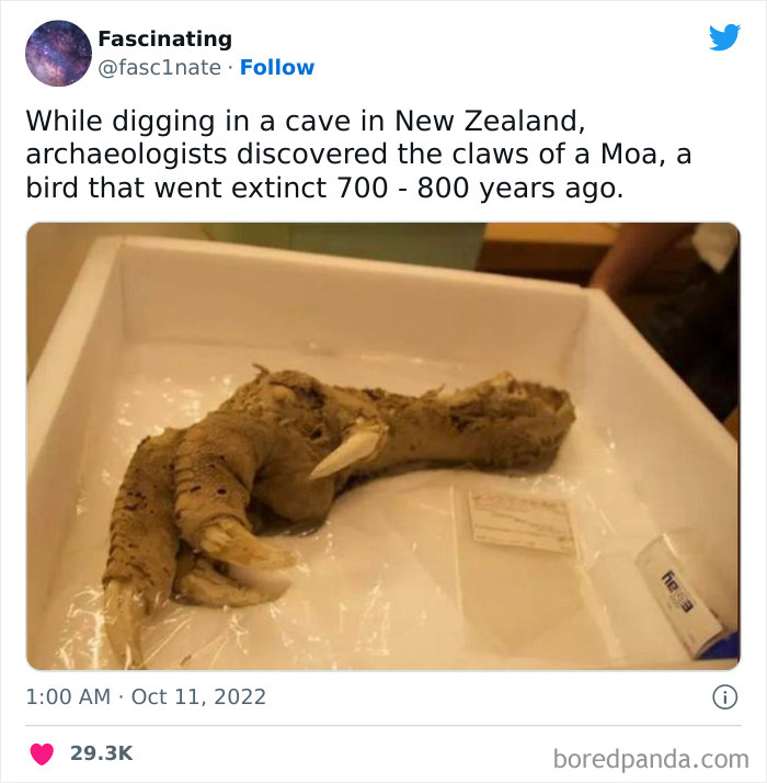 Interesting-Science-History-Art-Fasc1nate