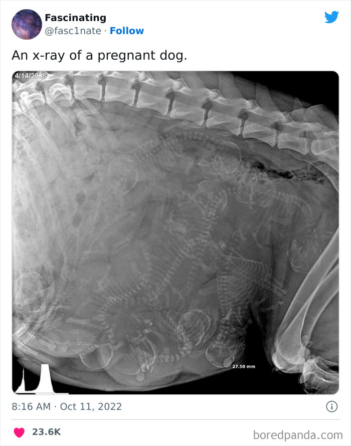 Interesting-Science-History-Art-Fasc1nate