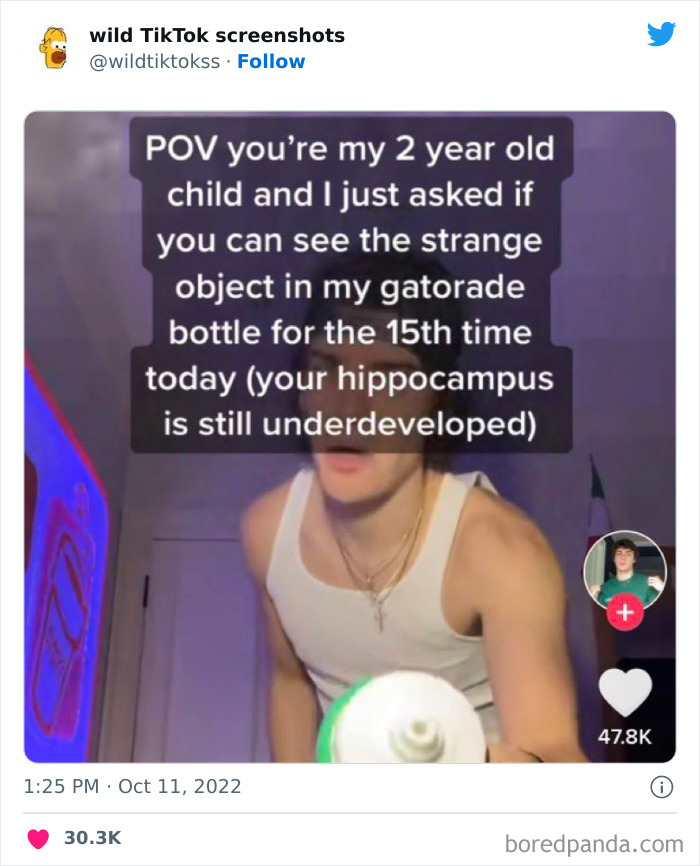 Wild-Tiktok-Screenshots