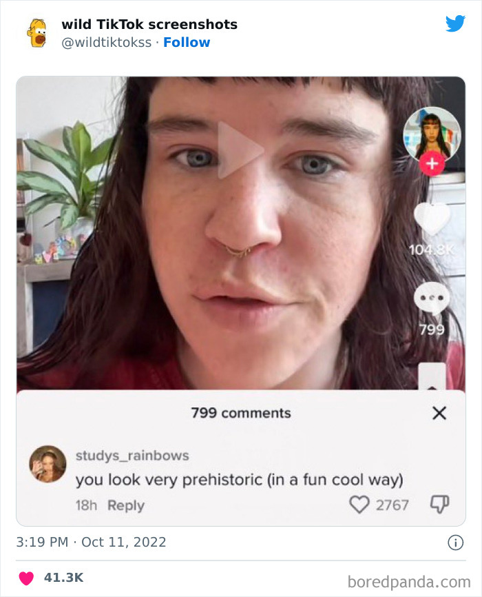 Wild-Tiktok-Screenshots