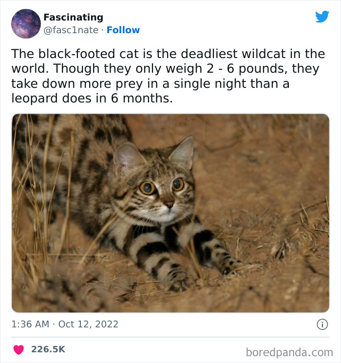 Interesting-Science-History-Art-Fasc1nate