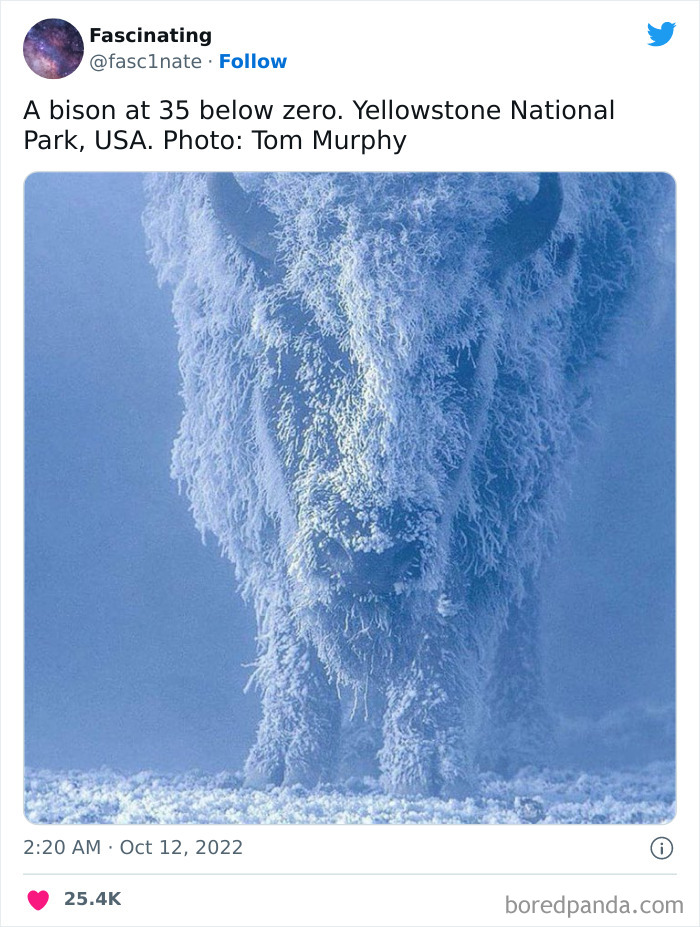 Interesting-Science-History-Art-Fasc1nate