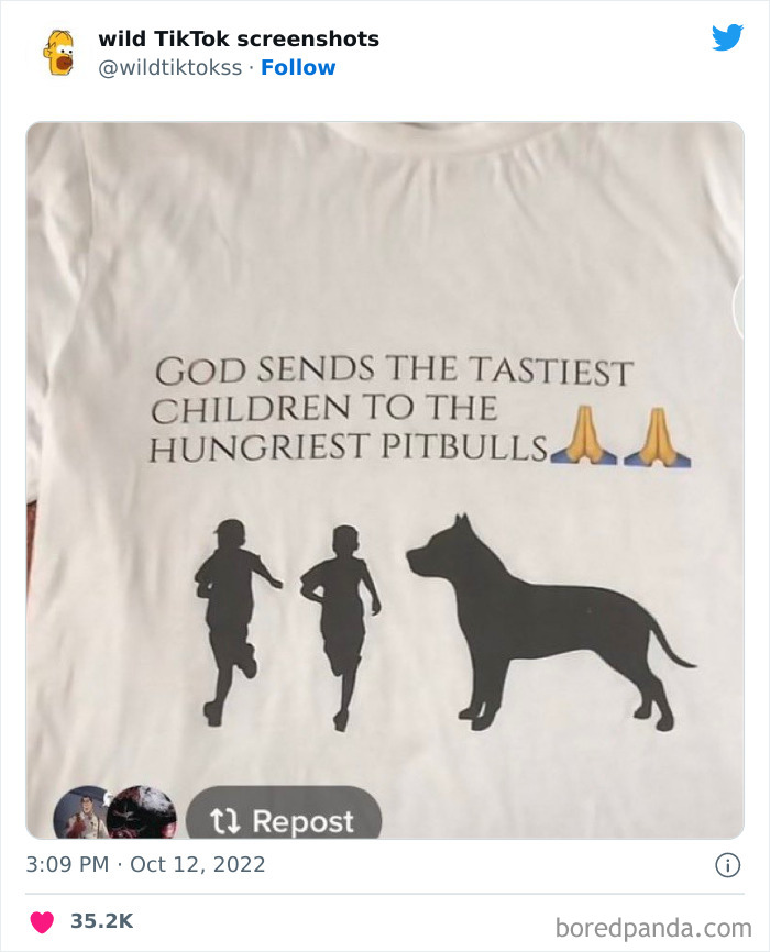 Wild-Tiktok-Screenshots