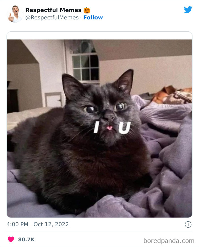 Kind-Respectful-Memes