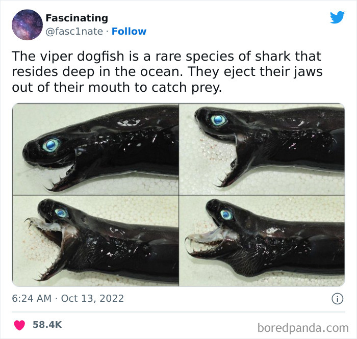 Interesting-Science-History-Art-Fasc1nate