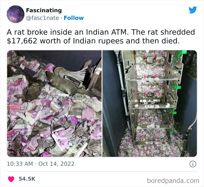 Interesting-Science-History-Art-Fasc1nate