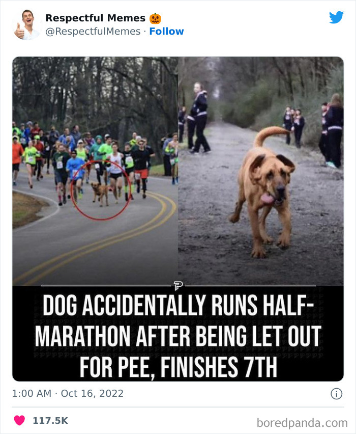 Kind-Respectful-Memes