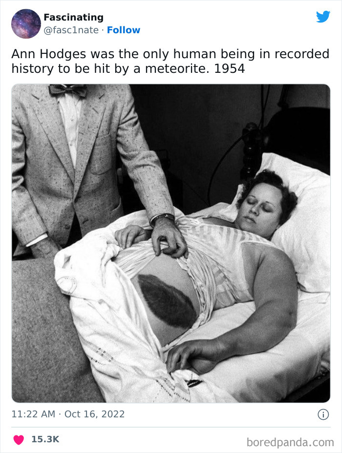 Interesting-Science-History-Art-Fasc1nate