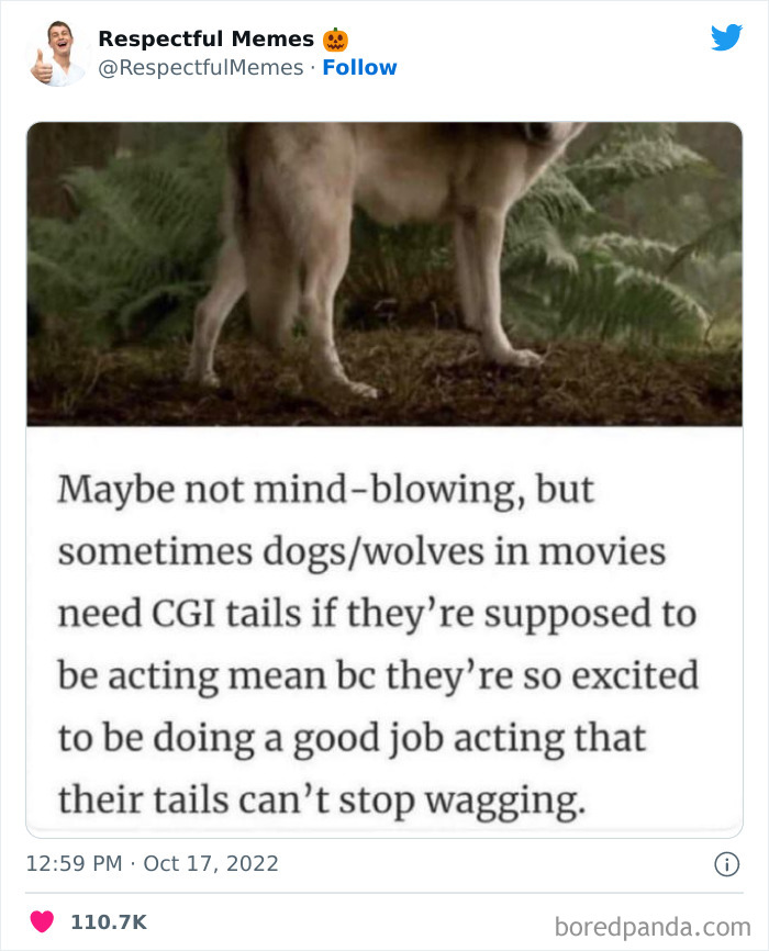 Kind-Respectful-Memes