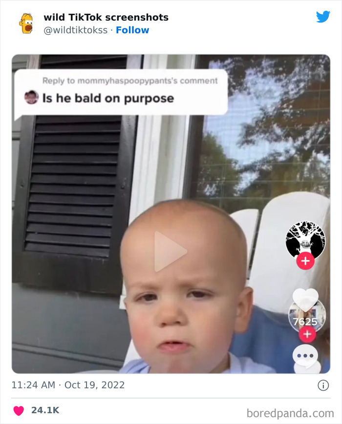 Wild-Tiktok-Screenshots