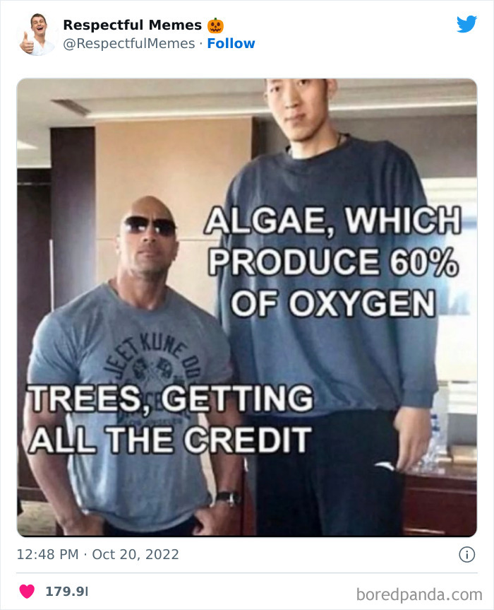 Kind-Respectful-Memes