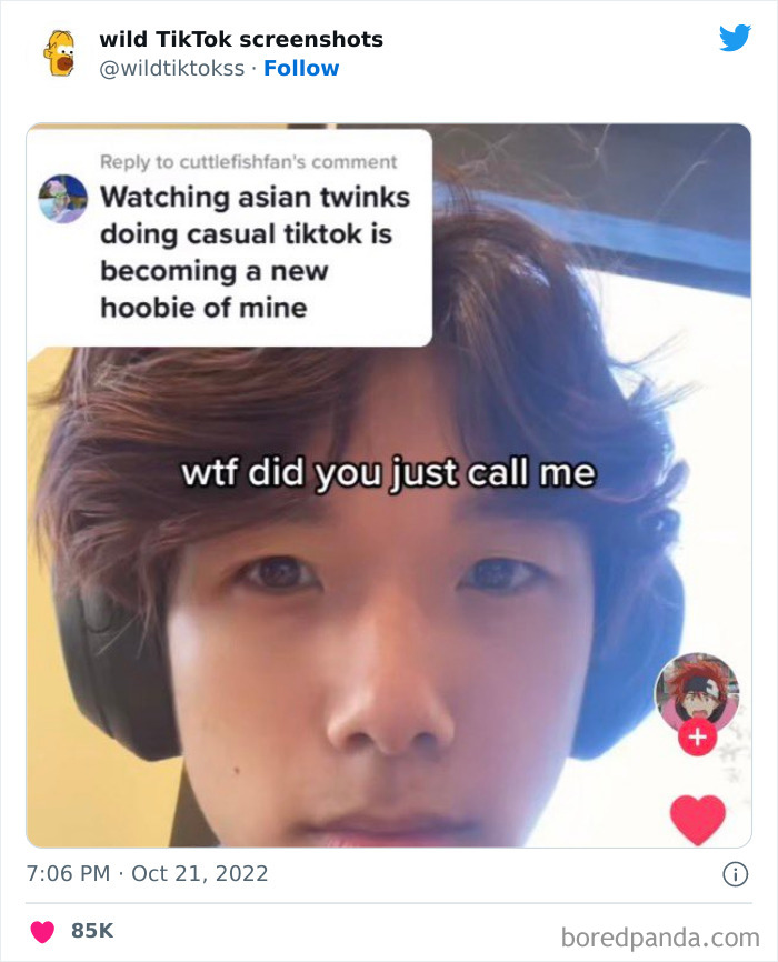 Wild-Tiktok-Screenshots