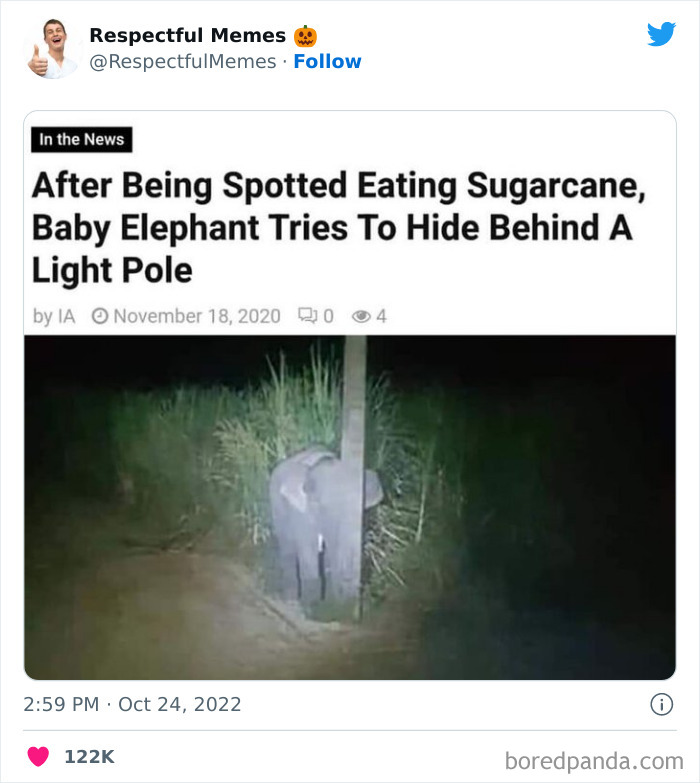 Kind-Respectful-Memes