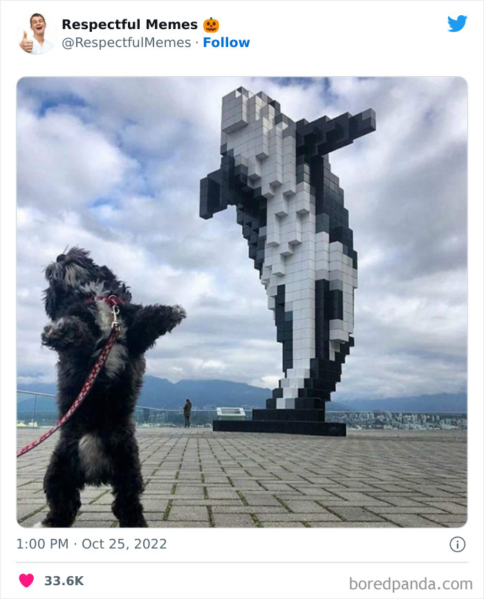 Kind-Respectful-Memes