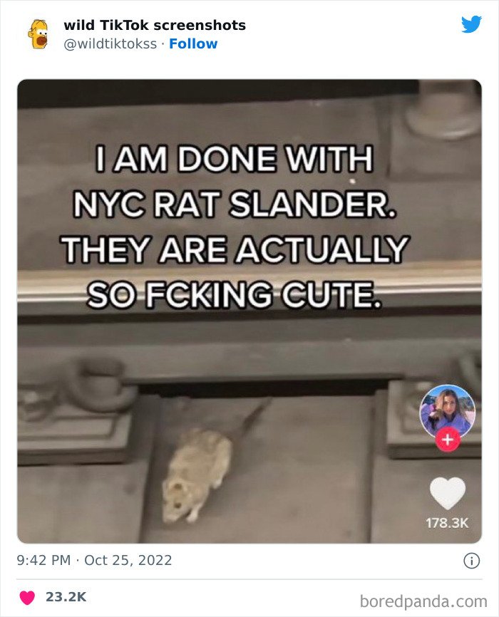 Wild-Tiktok-Screenshots