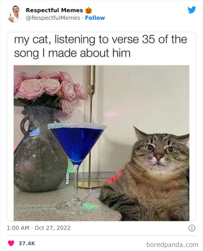 Kind-Respectful-Memes