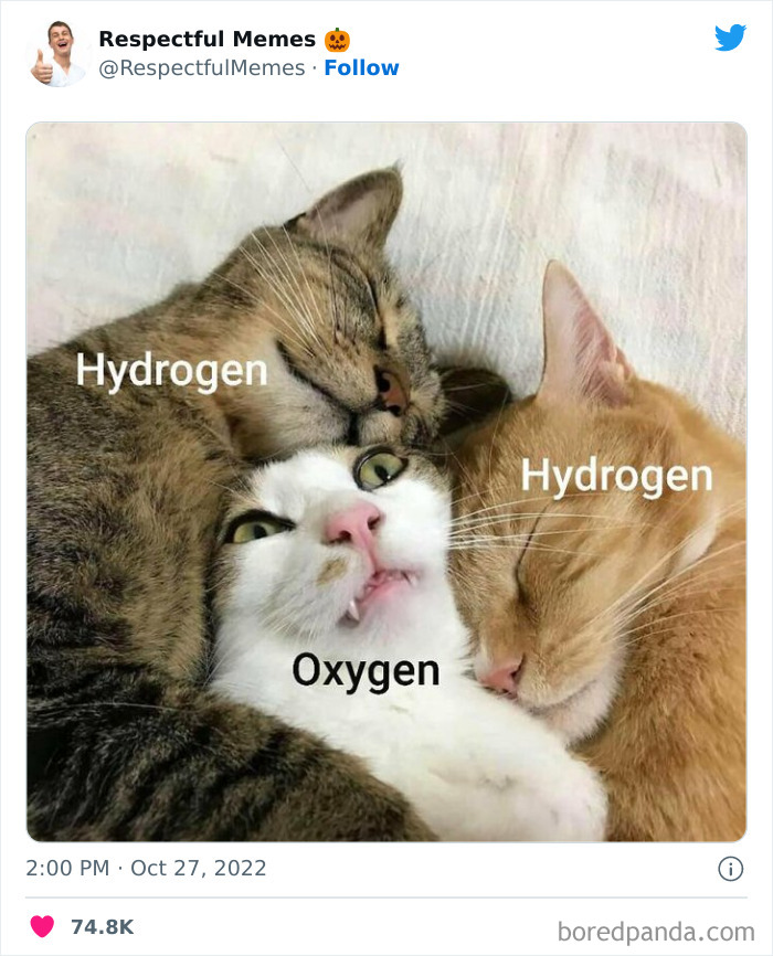 Kind-Respectful-Memes