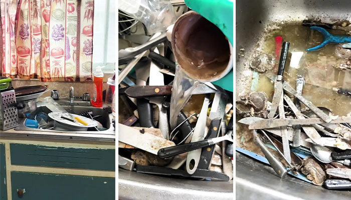 Psychology Student Deep Cleans “Unlivable” Homes To Help Their Owners’ Mental Health Psychology Student Deep Cleans “Unlivable” Homes To Help Their Owners’ Mental Health