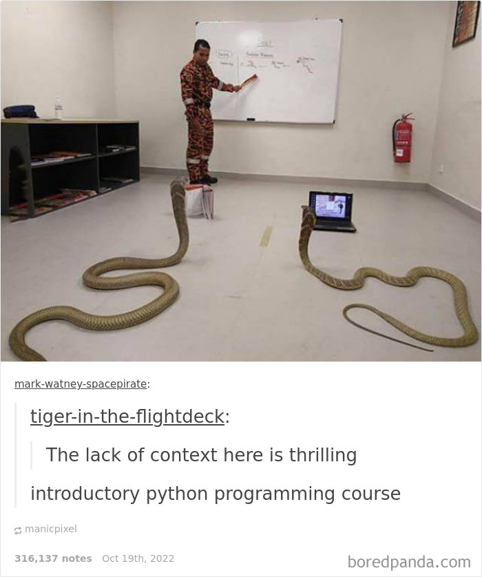 Where Are Our Desssssks