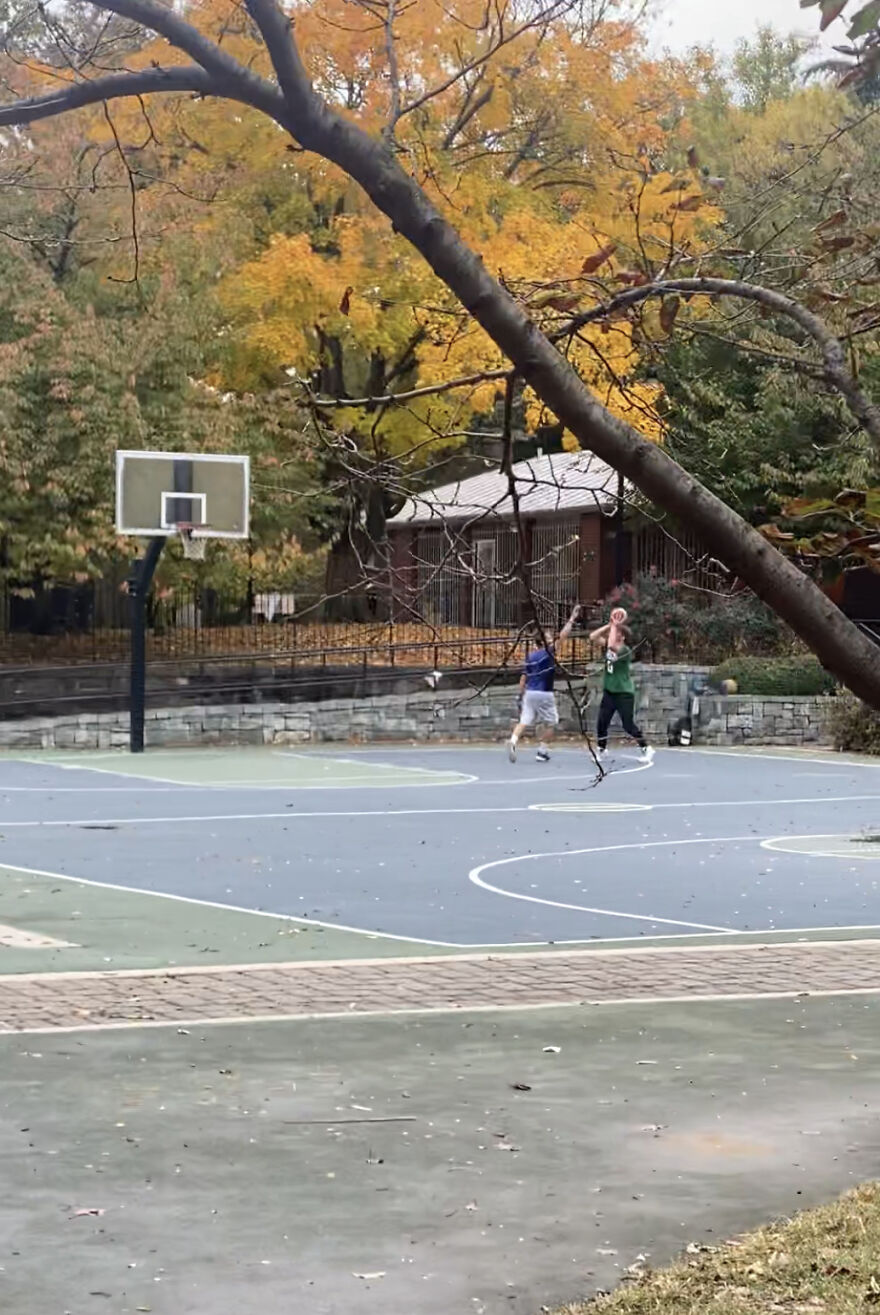 A Nurse Goes For First Vacation In Three Years And Meets His Pilot On A Basketball Court On The Day Of The Flight A Nurse Goes For First Vacation In Three Years And Meets His Pilot On A Basketball Court On The Day Of The Flight