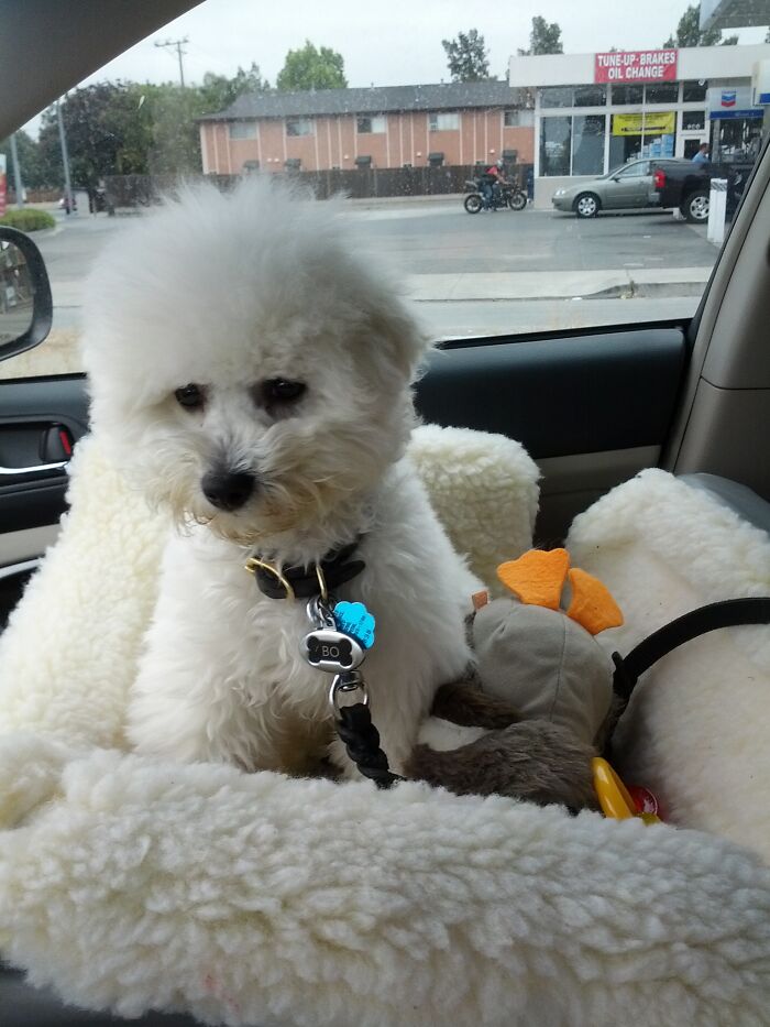 20 Personas que fueron pobres comparten esos "lujos" que en realidad son necesidades