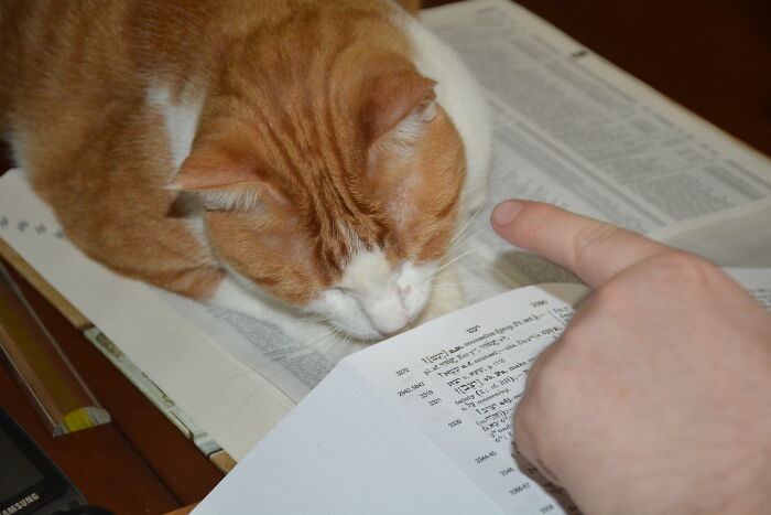 30 Things That Immediately Make People Angry Because They Are So Annoying, As Shared In This Online Group