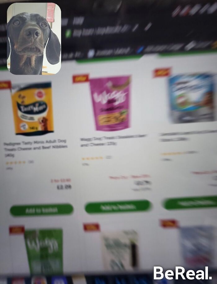 People Are Sharing Their Hilarious BeReal Pics, Here Are 35 Of The Funniest Ones