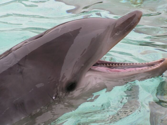 30 Random Things Folks Thought Were Normal But Later Realized Weren’t, As Shared Online