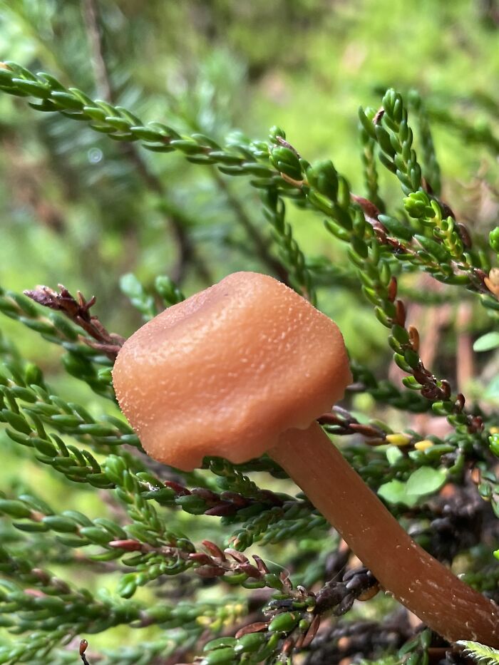 Little One Found In Bc, Canada