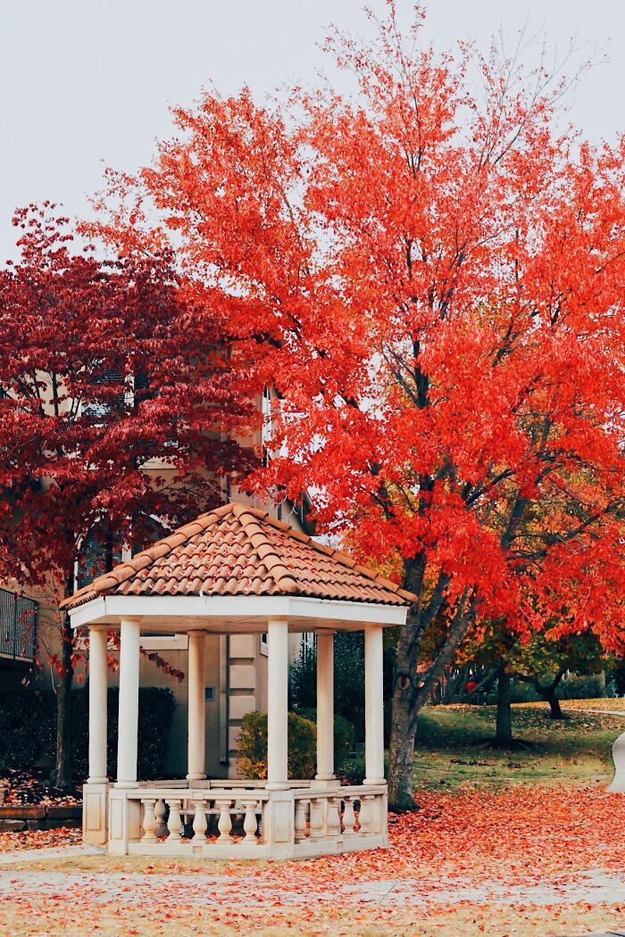 Took This November 2019