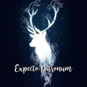 shootingstar9573 avatar