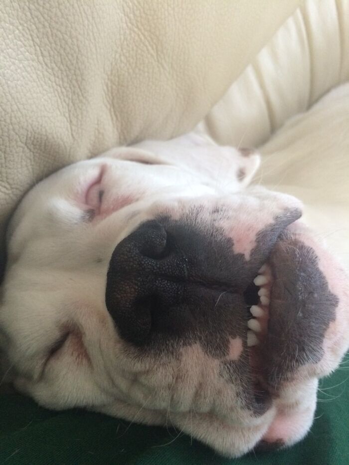 Such A Handsome Boy :)