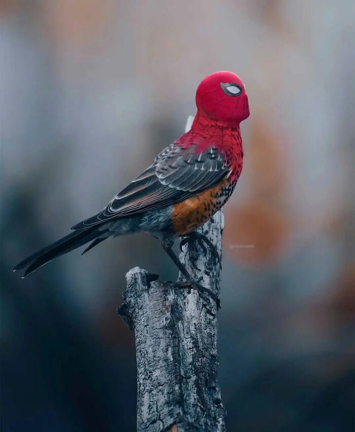 Indian Uses Photoshop To Create A Surreal And Unimaginable World (50 Pics)