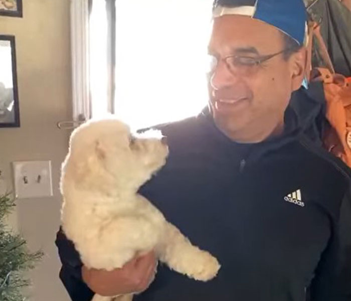 &ldquo;He Had One Job!&rdquo;: Husband Goes To Groomers, Comes Home With The Wrong Dog