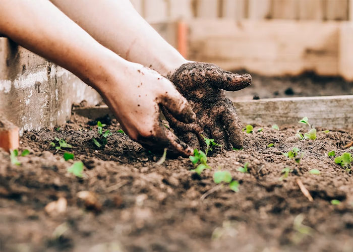 People Are Sharing “Cheat Codes” For The Game Of Life That Actually Work, And Here Are 50 Of The Best Ones