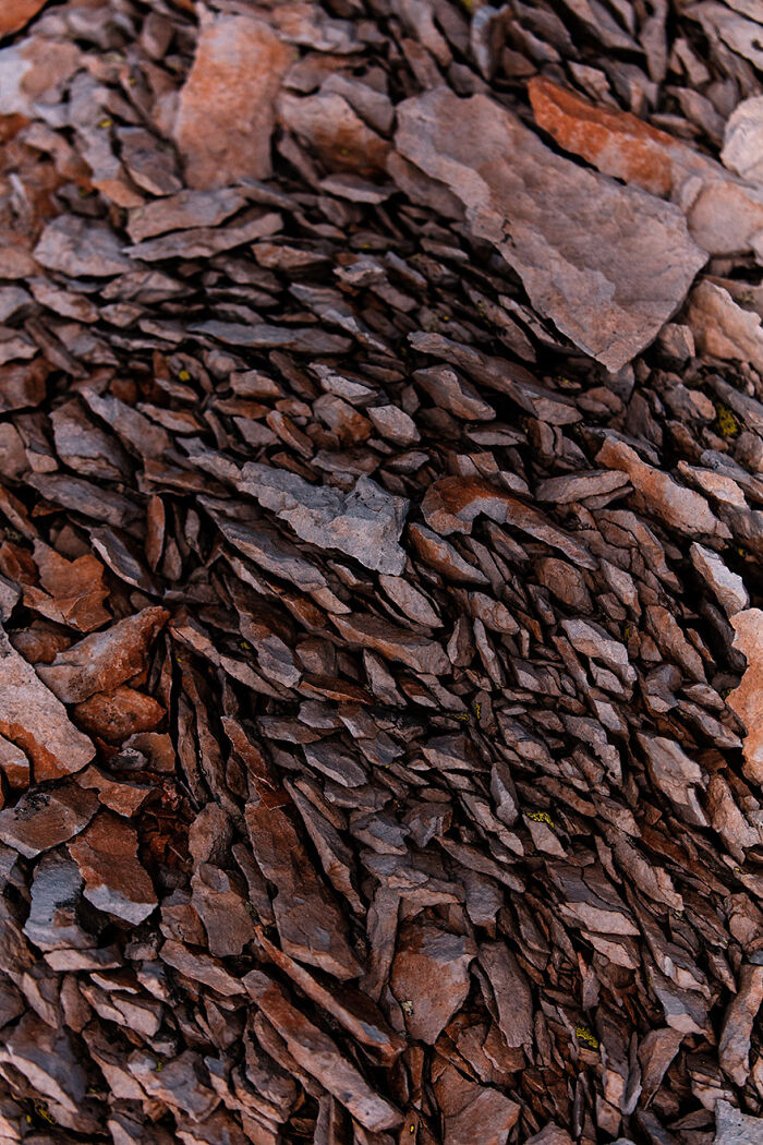 “I Own An Official Nanosecond”: 35 Rare Items Owned By Our Community